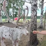 펜션 Moekki In Kalkkinen 라티