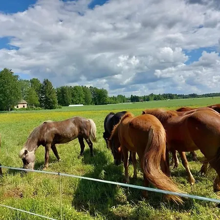 Moekki In Kalkkinen Semesterbostad *