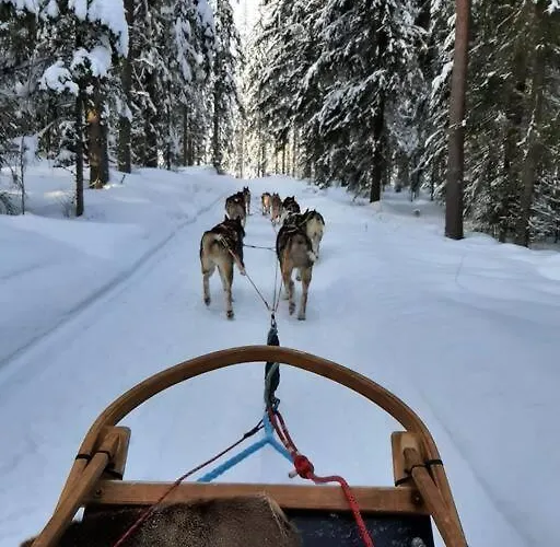 Moekki In Kalkkinen Lahti