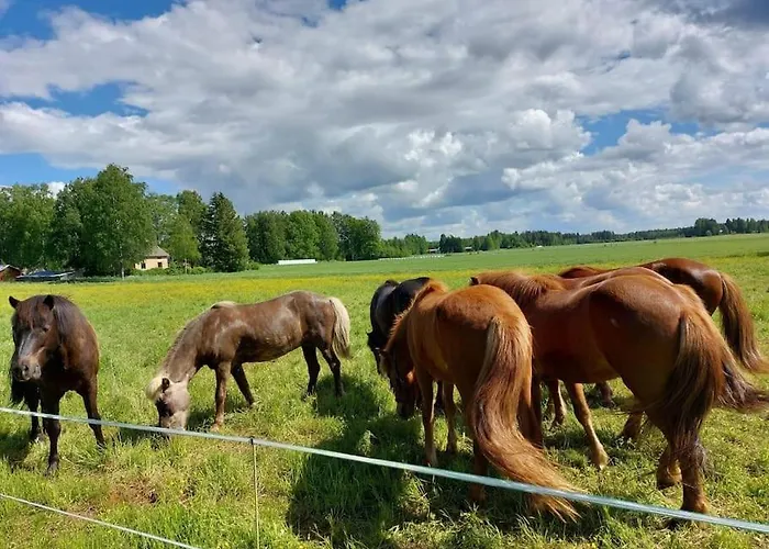 Moekki In Kalkkinen Casa vacanze *